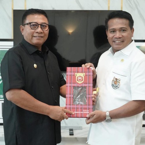 Sampaikan Isu Strategis Pemkot Samarinda, Wawali Audiensi dengan Komisi XII DPR RI